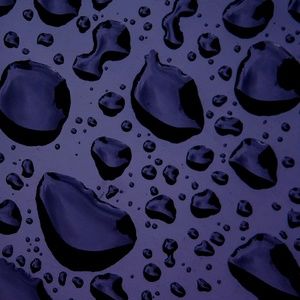 Meet your Posher, Nina